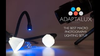 LED Macro Photography Lighting Setup Adaptalux studio [upl. by Onida]