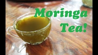 Moringa Tea Recipe  Healthy and Easy To Make [upl. by Ladiv816]