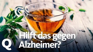 Grüner Tee Hoffnung für Alzheimer Patienten  Quarks [upl. by Eerazed512]