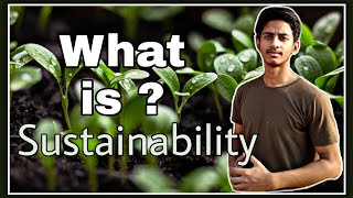 Sustainability in Hindi  What is Sustainability [upl. by Nuhs233]