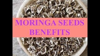 MORINGA SEEDS BENEFITS [upl. by Eelarak]