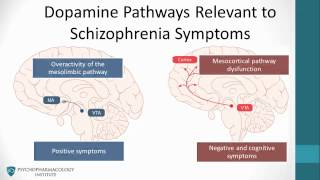 Psychopharmacology Antipsychotics amp The Dopamine Hypothesis [upl. by Lipps346]