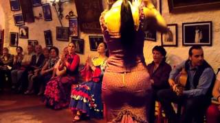 Flamenco Dance by Spanish Gypsies Part 2 [upl. by Lleret]