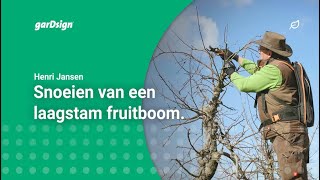 Laagstam fruitbomen snoeien appelboom [upl. by Bushey769]