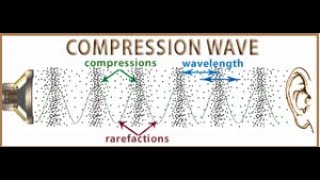 SOUND WAVES COMPRESSIONS AND RAREFACTIONS [upl. by Enidualc539]