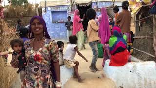 Jamming with the Cobra Gypsies in Pushkar India [upl. by Dachi]