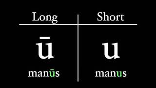 The Latin Alphabet  Vowel Pronunciation [upl. by Oigile]