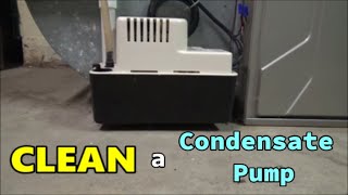 How to Clean Out a Condensate Pump [upl. by Ahsitnauq359]