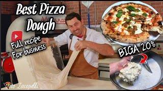 How To Make Best PIZZA DOUGH for Your Business Full RecipeBIGA [upl. by Salhcin463]