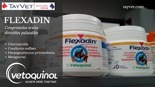 Flexadin  Laboratorios Vetoquinol Tayvet Distribuidora Veterinaria [upl. by Shere]