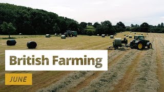 British Farming  12 Months On A UK Farm June [upl. by Thayer]