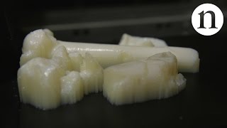 3D printing Lucy modern forensics reveal how 32 million year old human ancestor died [upl. by Eigroeg]