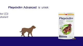 Flexadin Advanced [upl. by Linet]