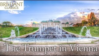 The Trumpet in Vienna [upl. by Cirri]