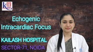 Awareness about Echogenic Intracardiac Focus by Dr Shruti Jain  Kailash Hospital Sector 71 Noida [upl. by Attenrad]