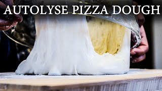 No Music How To Make Perfect Neapolitan Pizza Dough With Autolyse  Autolyse Pizza Dough Recipe [upl. by Cirdor]