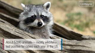 Are you at risk for Rabies [upl. by Einoj592]