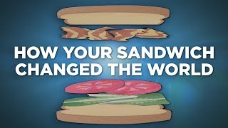 The Carbon Footprint Of A Sandwich [upl. by Shamrao466]