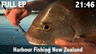 Harbour Fishing New Zealand [upl. by Carlick]