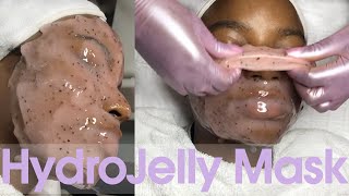 HydroJelly Mask  FULL Application and Removal [upl. by Ainesej787]