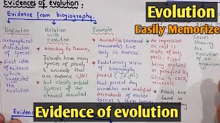 Evidence of evolution  Class 12 Biology [upl. by Angelica]