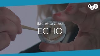 Echo BachelorClass  Your introduction to basic echocardiography [upl. by Aiyot609]