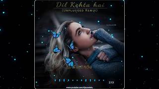 Dil Keheta hai  Unplugged Remix  Female Cover  Love Remix 2019 [upl. by Gnod]