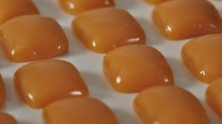 Caramels Recipe Demonstration  Joyofbakingcom [upl. by Aba687]