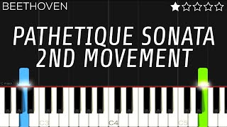 Beethoven  Pathetique Sonata 2nd Movement  EASY Piano Tutorial [upl. by Bacon427]