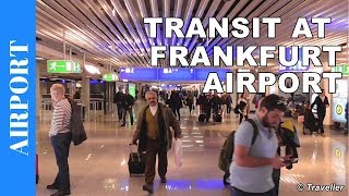 TRANSIT WALK AT FRANKFURT Airport FRA Terminal 1  Connection Flight Transfer Arriving amp Departing [upl. by Samid299]