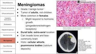 Nervous System Tumors [upl. by Clarke]